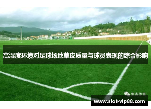 高湿度环境对足球场地草皮质量与球员表现的综合影响